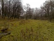 Новослобідка з panoramio.com