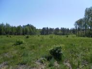 Ревунів Круг з panoramio.com