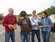 Старокозаче з panoramio.com