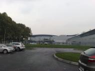 Гора - Останні фото