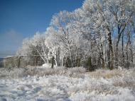 Бабаї з panoramio.com