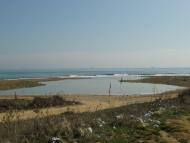 Білярі - Останні фото