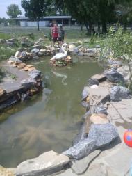 Новотроїцьке - Останні фото