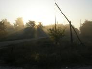 Борсуків - Останні фото