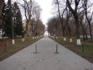 Петрушівка з panoramio.com