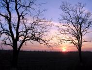 Преображенка - Останні фото