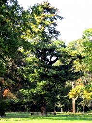 Глибочка з panoramio.com