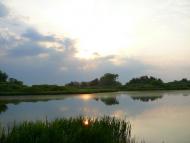 Розівка з panoramio.com (ч.2)