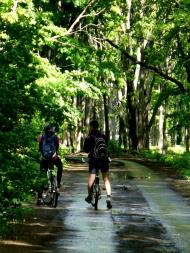 Питомник з panoramio.com