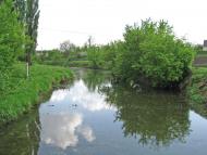 Кринички - Останні фото