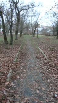 Гвардійське з panoramio.com