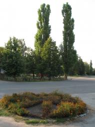 Куковичі з panoramio.com