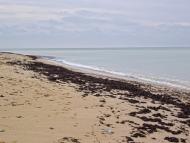 Молочне з panoramio.com