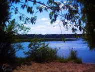 Мартинівка з panoramio.com