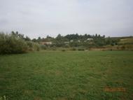 Берездівці з panoramio.com