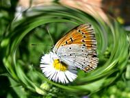 Лубни з panoramio.com (ч.2)