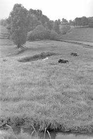 Теклинівка з panoramio.com