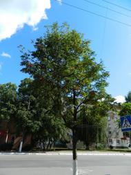 Шепетівка з panoramio.com (ч.2)