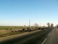 Преображенка - Останні фото