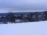 Шишаки з panoramio.com