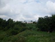 Лихолеты - Последние фото