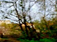 Звенигородка з panoramio.com