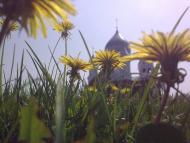 Іршава - Останні фото