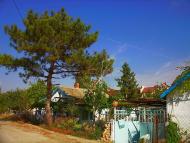 Віліне з panoramio.com