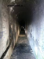 Циків з panoramio.com