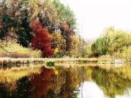 Піщатинці з panoramio.com