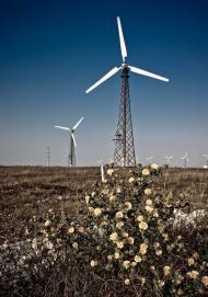 Окунівка з panoramio.com