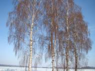 Лохвиця з panoramio.com