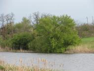 Новокрасне з panoramio.com