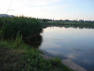 Михайлівка з panoramio.com