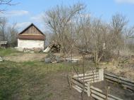 Вишневе з panoramio.com