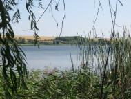 Мирошниківка з panoramio.com