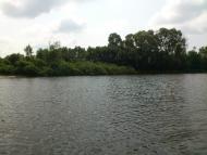 Миси - Останні фото