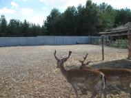 Ямпіль з panoramio.com