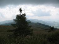 Верховина-Бистра з panoramio.com