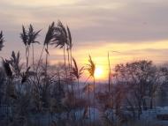 Тернуватий Кут з panoramio.com (ч.2)