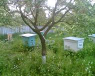 Зрайки - Останні фото