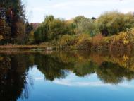 Піщатинці з panoramio.com