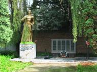 Снятин - Останні фото