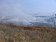 Очаків з panoramio.com