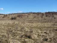 Домниця з panoramio.com