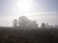 Туманська Гута з panoramio.com