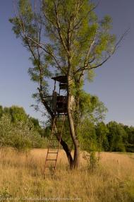 Розівка з panoramio.com (ч.2)