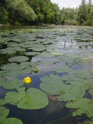 Розівка з panoramio.com (ч.2)