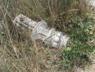 Орджонікідзе з panoramio.com (ч.2)