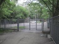 Кияшки з panoramio.com